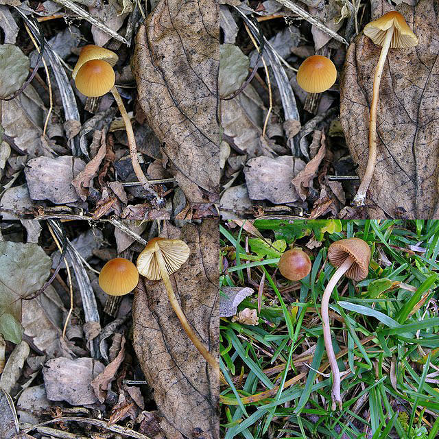 Ritrovamenti marted� 3 aprile.